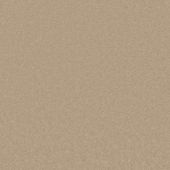 Spirit Caramel Carpet