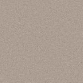 Marshall Taupe Carpet