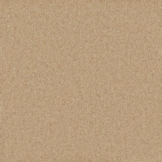 Marshall Co-Ordinates Chickpea