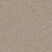 Limerick Beige Carpet