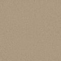 Courage Oatmeal Plain Carpet