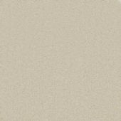 Malibu Butter Carpet