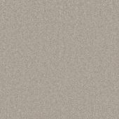 Skylark Metallic Carpet