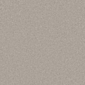 Skylark Silver Carpet