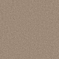 Skylark Beige Carpet