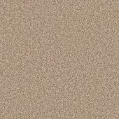 Goldfinch Teak Carpet