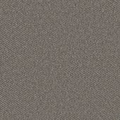 Oakland Space Carpet