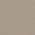 New Orleans Beige Carpet