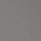 New Orleans Silver Carpet