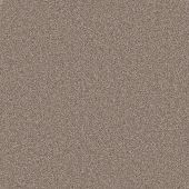 New Orleans Hazel Carpet