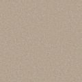 Santa Rosa Beige Carpet