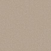 Santa Rosa Beige Carpet