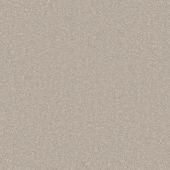 Santa Rosa Canvas Carpet