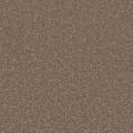 Santa Rosa Oak Carpet