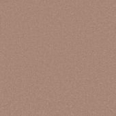 Feelings Blush Carpet