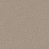 Feelings Sepia Carpet
