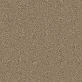 Affection Chestnut Carpet