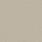 Bel Air Beige Carpet