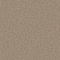 Santa Monica Caramel Carpet