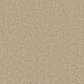 Santa Monica Sand Carpet