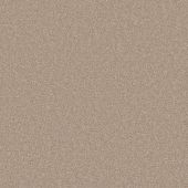 Columbia Beige Carpet