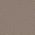Columbia Hazel Carpet