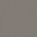 Columbia Silver Carpet