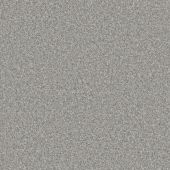 Dunglass Silver Carpet
