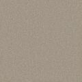 Papillon Taupe Carpet
