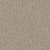 Jefferson Taupe Carpet