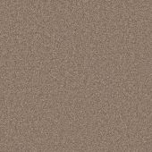 Eclipse Castle Beige Carpet