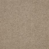 Hyde Park Taupe Carpet