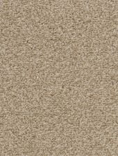 Moonstone Seal Carpet