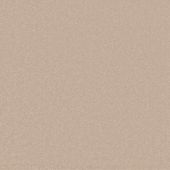 House Beautiful Portsmouth Haslar Carpet