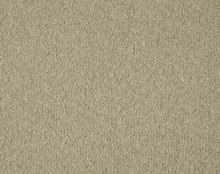 Breeze  Pinewood Aura Twist Carpet