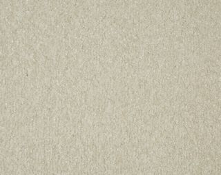 Breeze  Polar Bear Twist Carpet