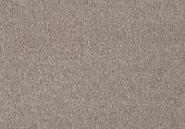 Malmo Gazelle Carpet