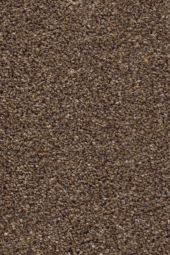 Moonstone Tea Carpet