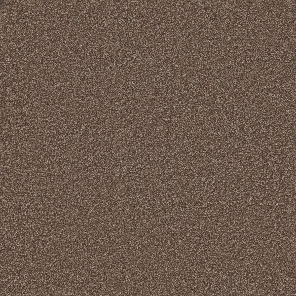 Eclipse Twist Carpet | Tapi Carpets & Floors