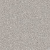 Zira Platinum Carpet