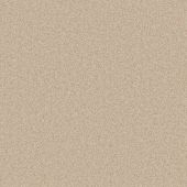 Camilla Mocha Magic Carpet