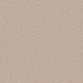 Carpetright Somerset Summer Carpet