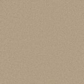 First Impressions Charming Carpet