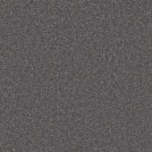 Burns  Off Black Carpet