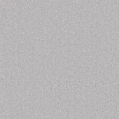 Burns  Pavilion Carpet