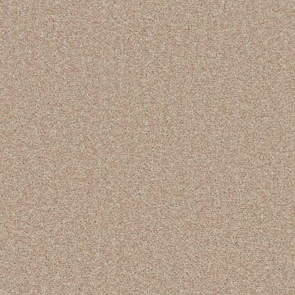 Tango Twist Carpet | Tapi Carpets & Floors