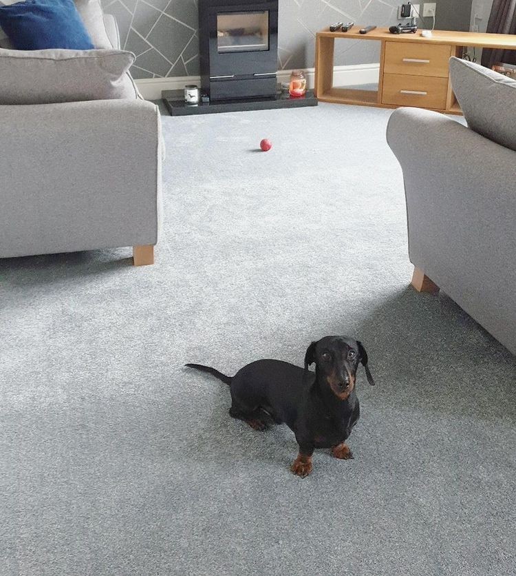 Urban Life - Summer Sky 