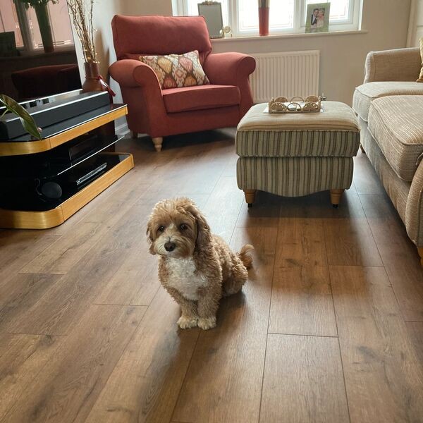 Dori - Royce Brown Living Room