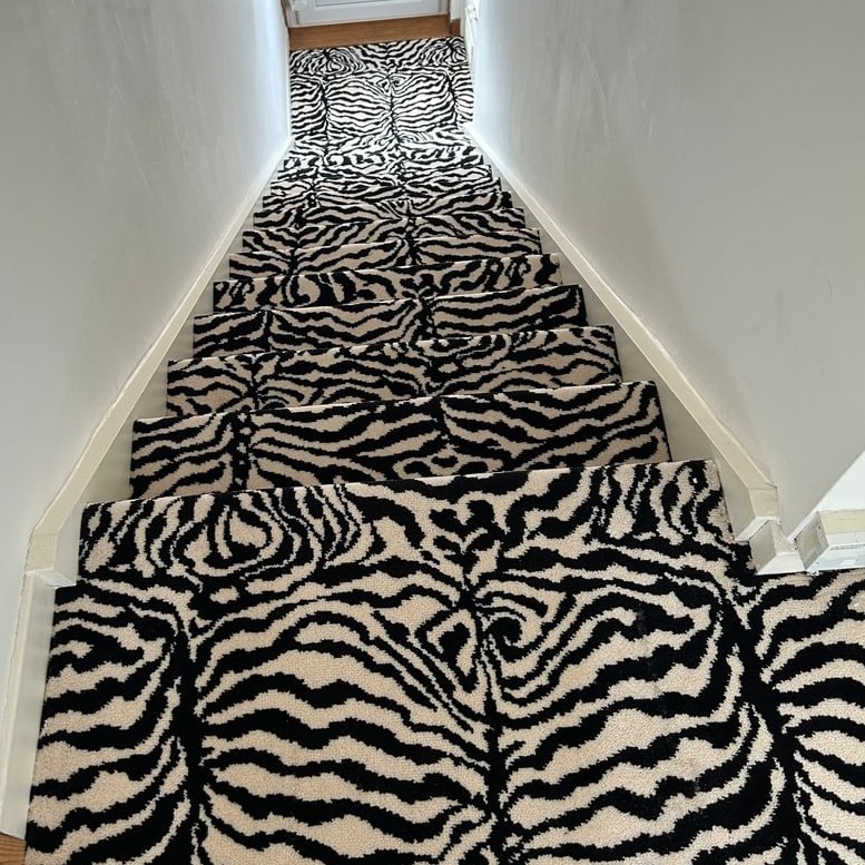 Safari - Zebra Multicoloured Stairs