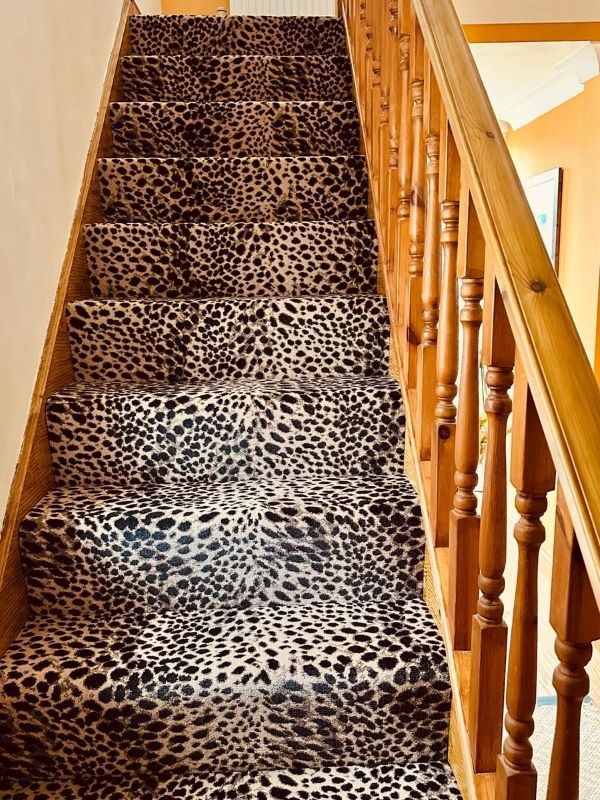 Safari - Ocelot Multicoloured Stairs